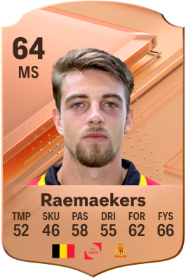 Toon Raemaekers