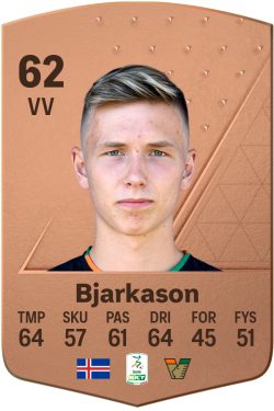 Bjarki Steinn Bjarkason