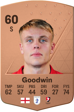 Will Goodwin
