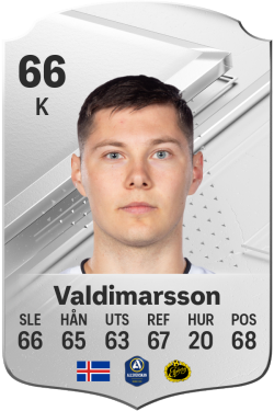 Hakon Valdimarsson