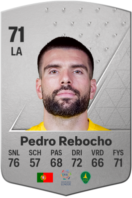 Pedro Rebocho