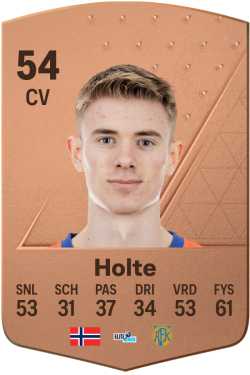 Stian Aarønes Holte