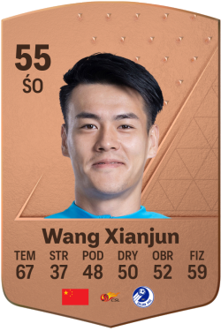 Wang Xianjun