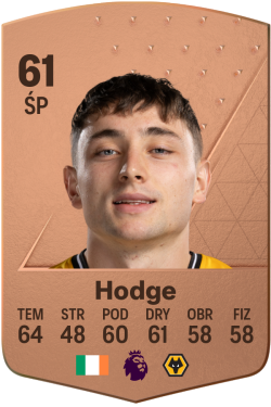 Joe Hodge