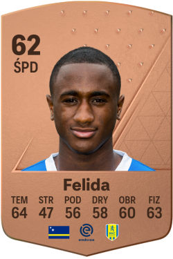 Kevin Felida