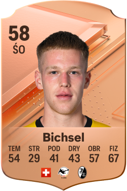 Joel Bichsel