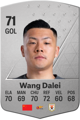 Wang Dalei