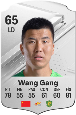 Wang Gang