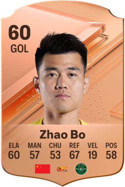 Zhao Bo