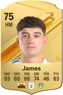 Daniel James