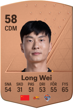 Long Wei