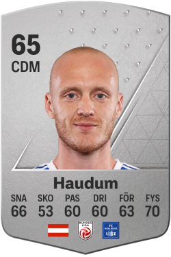 Stefan Haudum