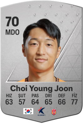 Choi Young Joon