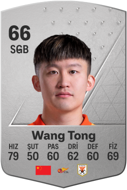 Wang Tong