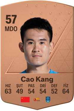 Cao Kang