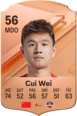 Cui Wei