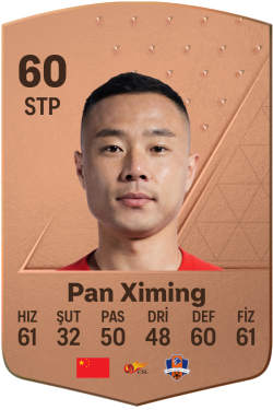 Pan Ximing