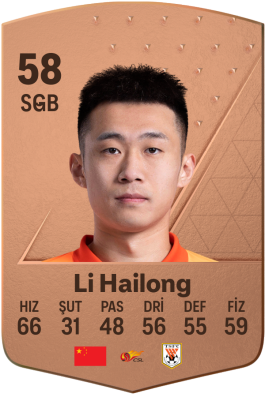 Li Hailong