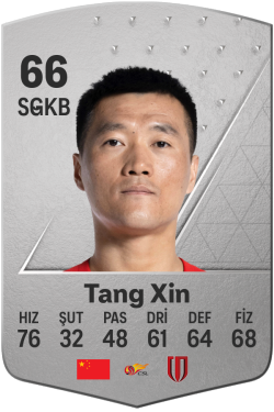 Tang Xin