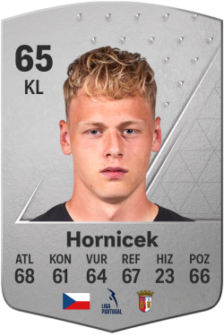 Lukas Hornicek