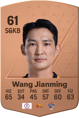 Wang Jianming