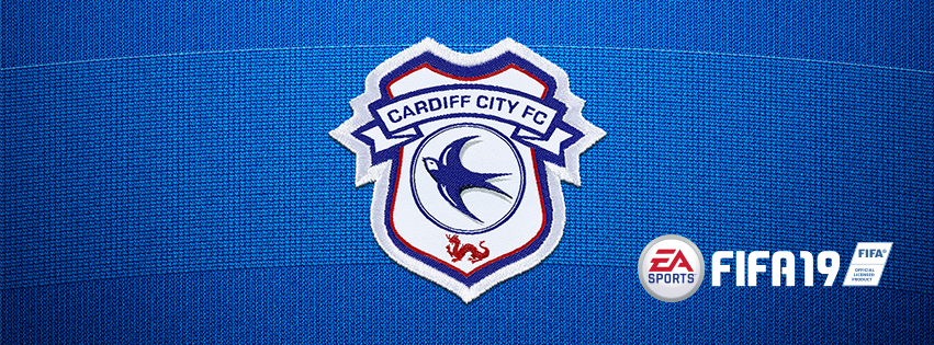 𝙄𝙉𝙁𝙄𝙉𝙄𝙏𝙔 𝙁𝘾 on X: #FIFA19 Cardiff City Stadium https