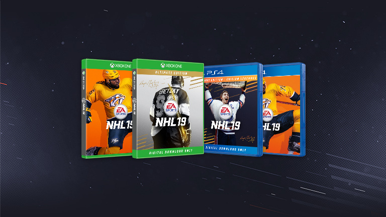 Nhl 19 computer game