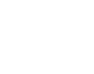 FC 24 Leagues – FIFPlay