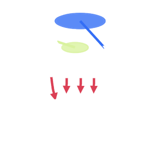 Cov 1 Robber Press