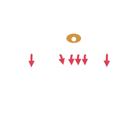 Safe Man Right Madden 24 Playbooks