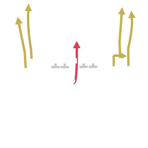 QB Draw Madden 24 Playbooks