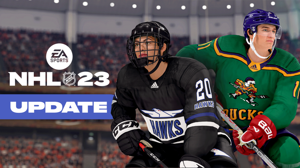 Why can't the Hawks and Ducks be the World of Chel (6vs6) jerseys so we can  have names and numbers : r/EA_NHL