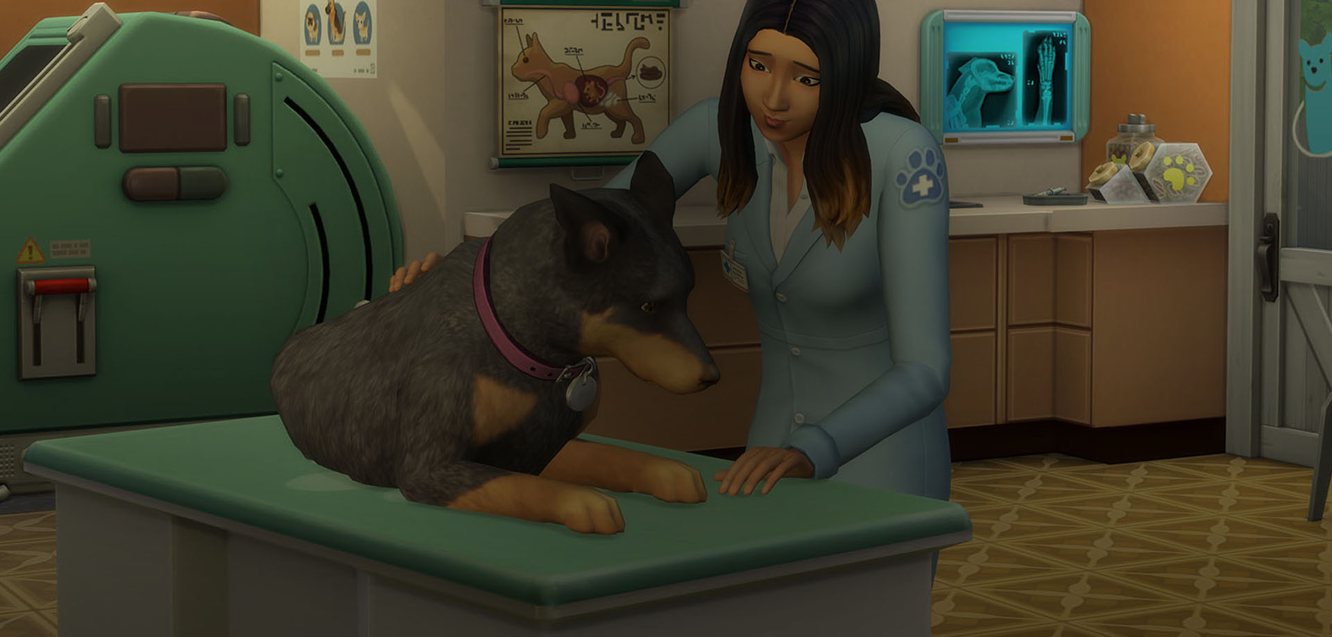 sims 4 cats and dogs origin