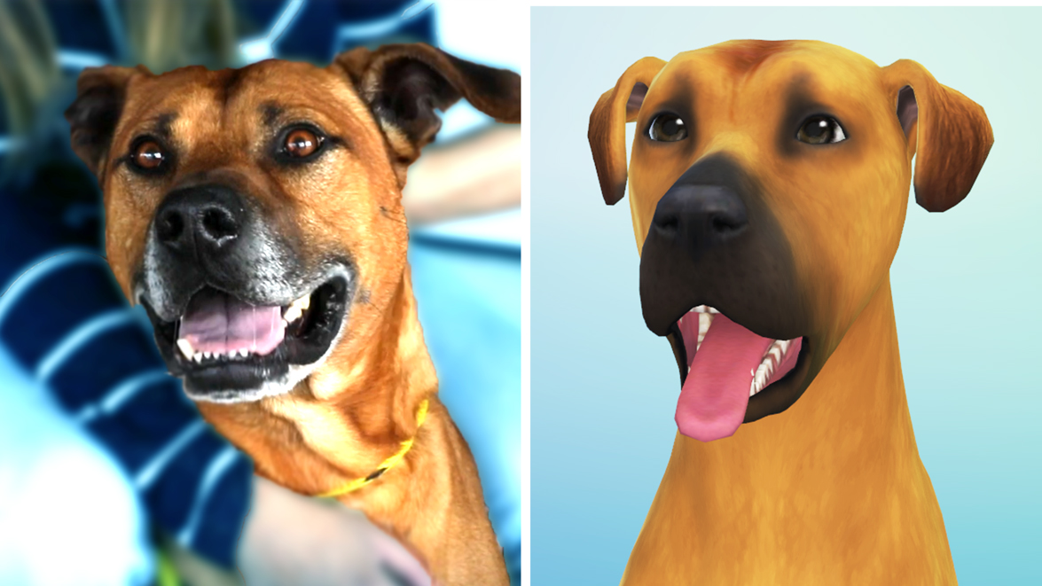 free sims 4 cats and dogs