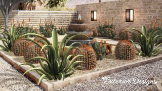 Design Home’s Southwestern Garden in Apache Junction, Arizona 