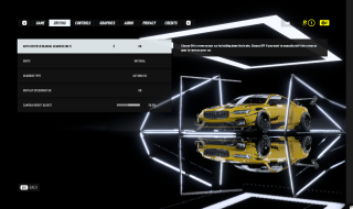 This picture shows all the Driving settings listed below.