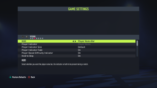 The picture shows the Visual Game Settings listed below.