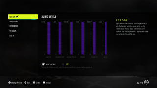 This image shows the audio levels for Custom.