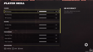 This image shows the Player Skill settings listed below.
