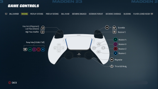 This image shows an image of the Passing game controls. 