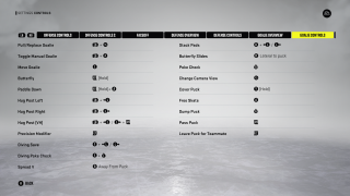 This is a picture of Goalie Controls.