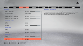 This picture shows the Skating Settings listed below.