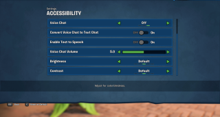 This picture shows the Accessibility settings listed below