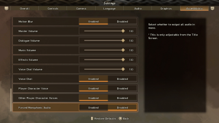 This picture shows the Controller Accessibility listed below.