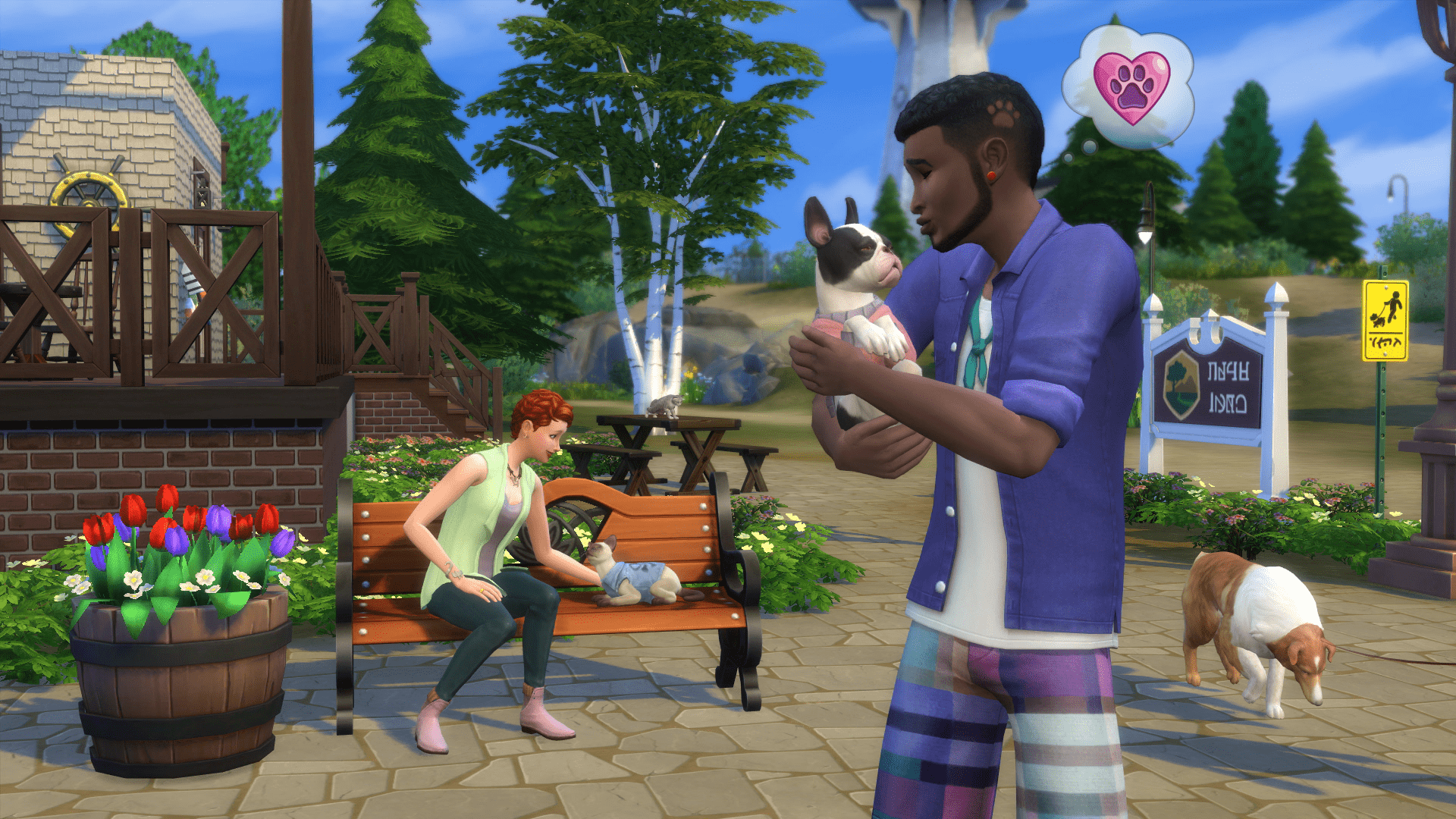 how do you get feathers in the sims 4 cats and dogs?