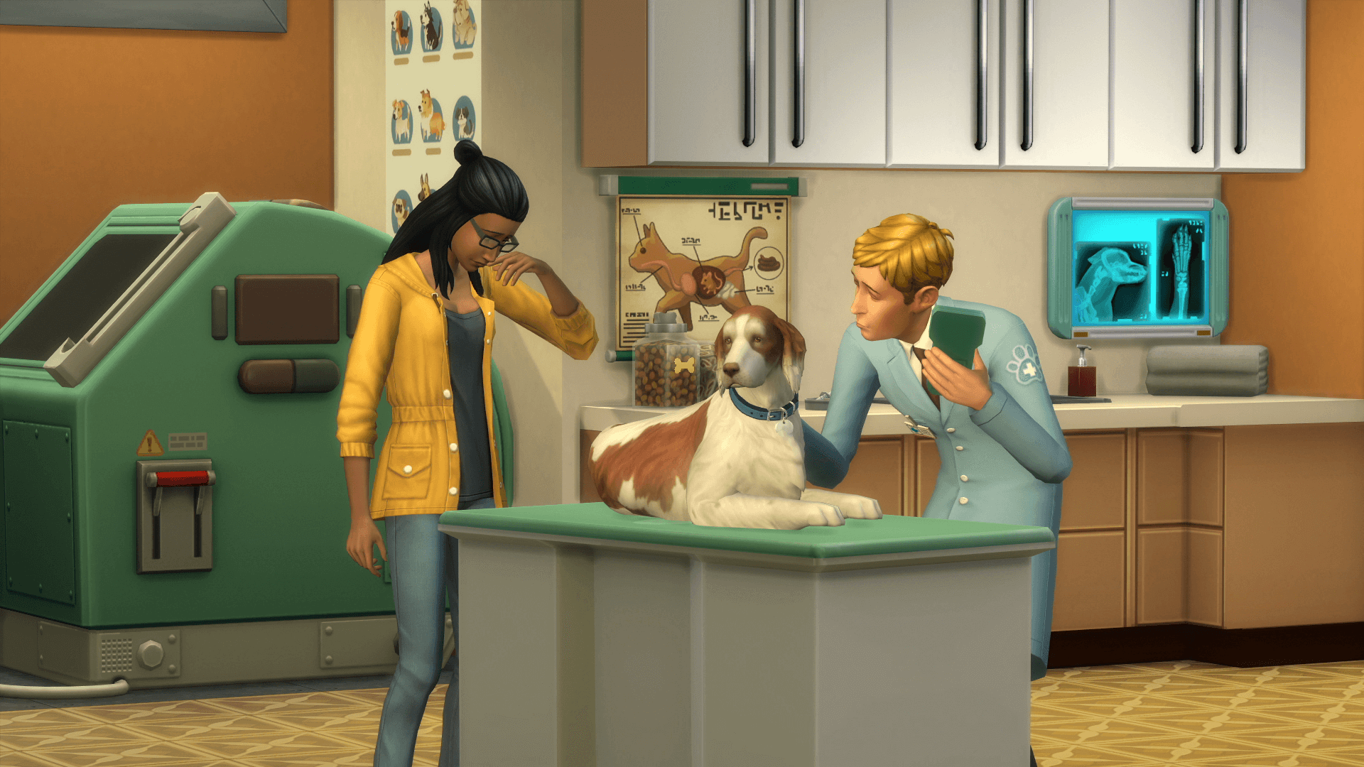 what is the release date and time for the sims 4 cats and dogs