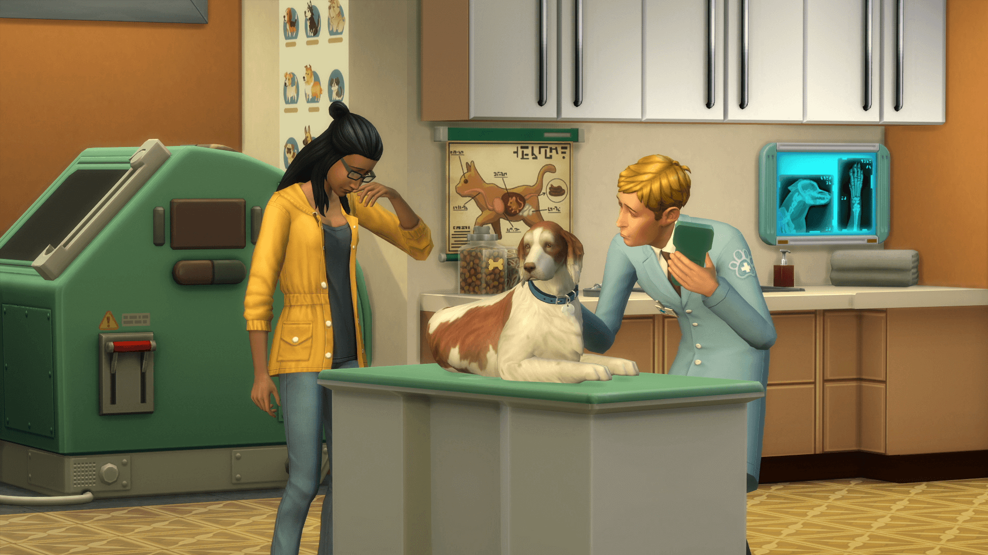 Дополнения симс 4 собаки. The SIMS 4. кошки и собаки. Симс 4 питомцы клиника. Симс 4 ветеринар. Симс 4 клиника для животных.