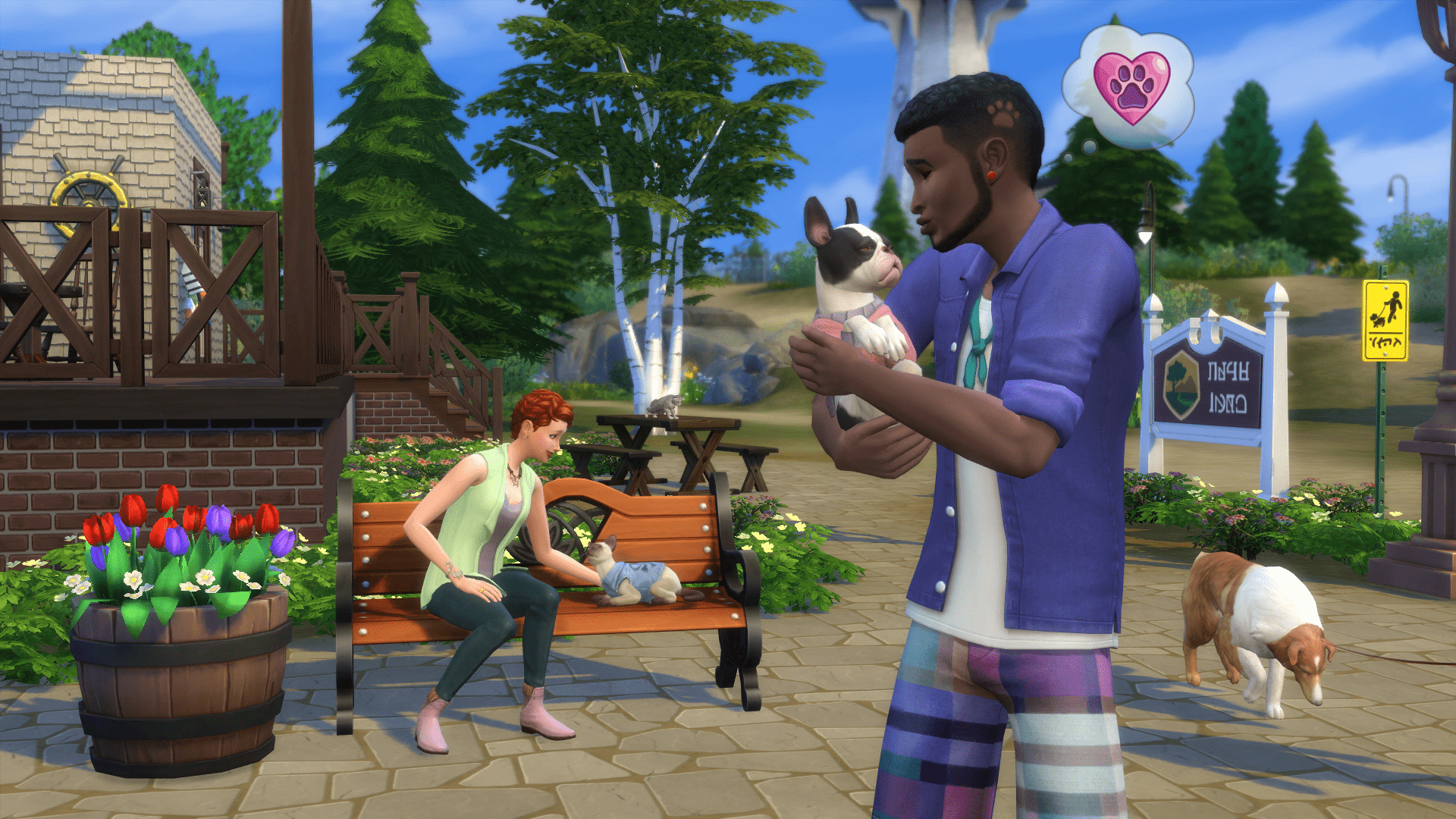 the sims 4 cat and dog short leg