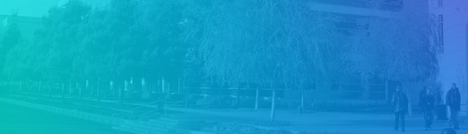 Playtest EA Redwood Shores Site EA officiel