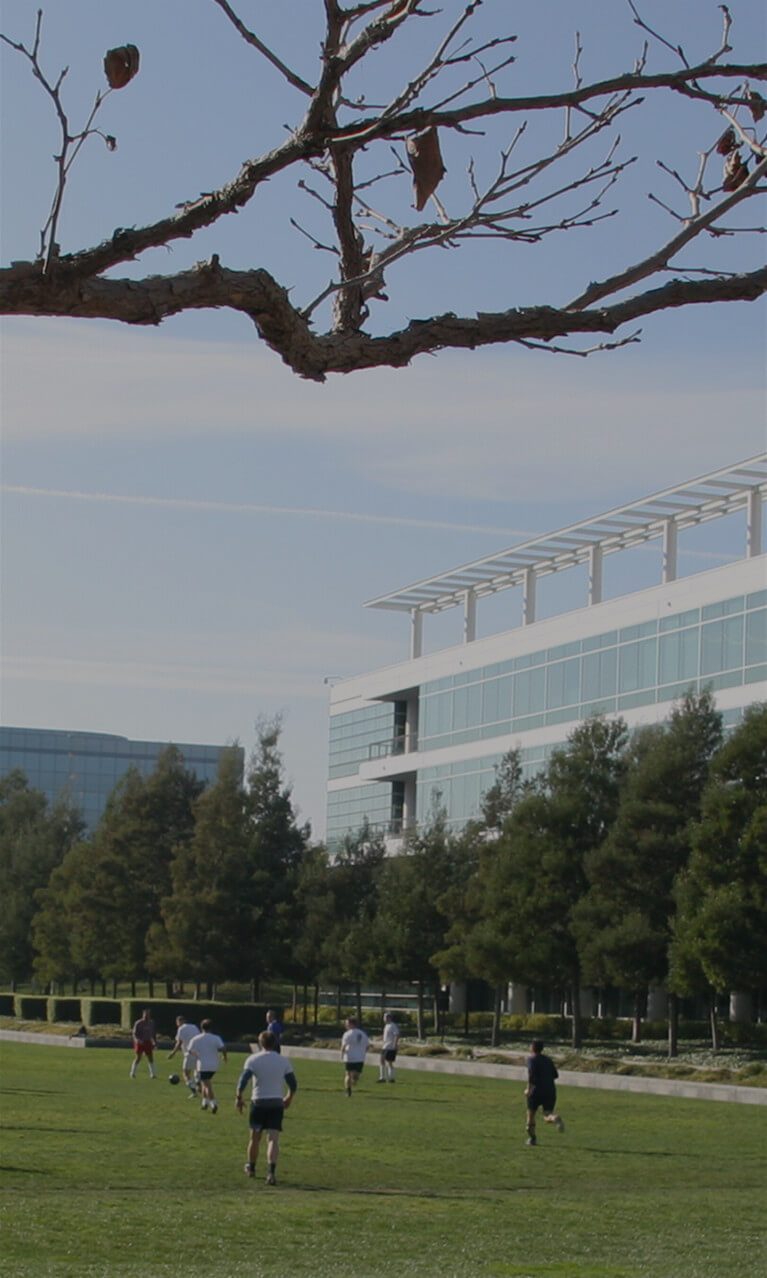 Careers at EA's Redwood Shores Studio An Official EA Site